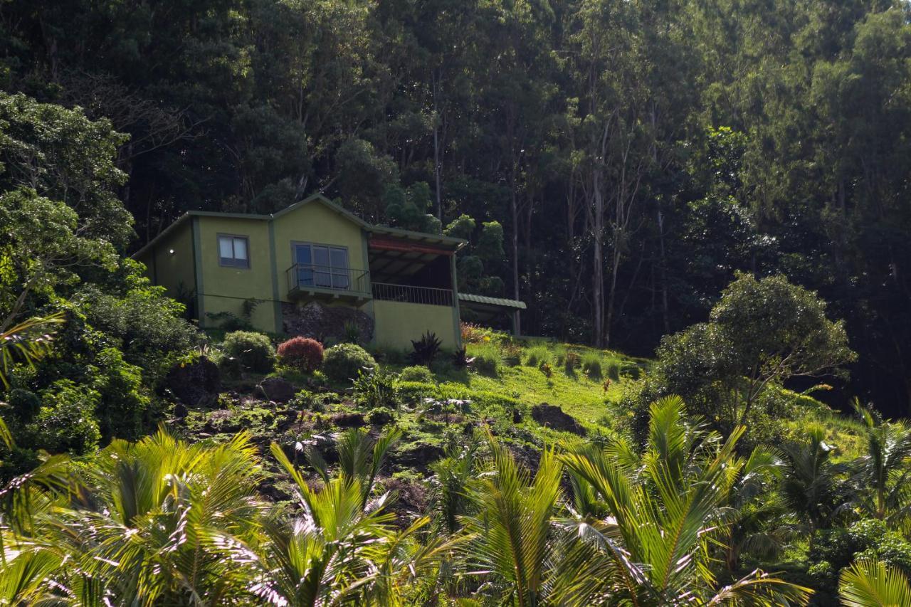 The Green Shack Quatre Soeurs Eksteriør billede