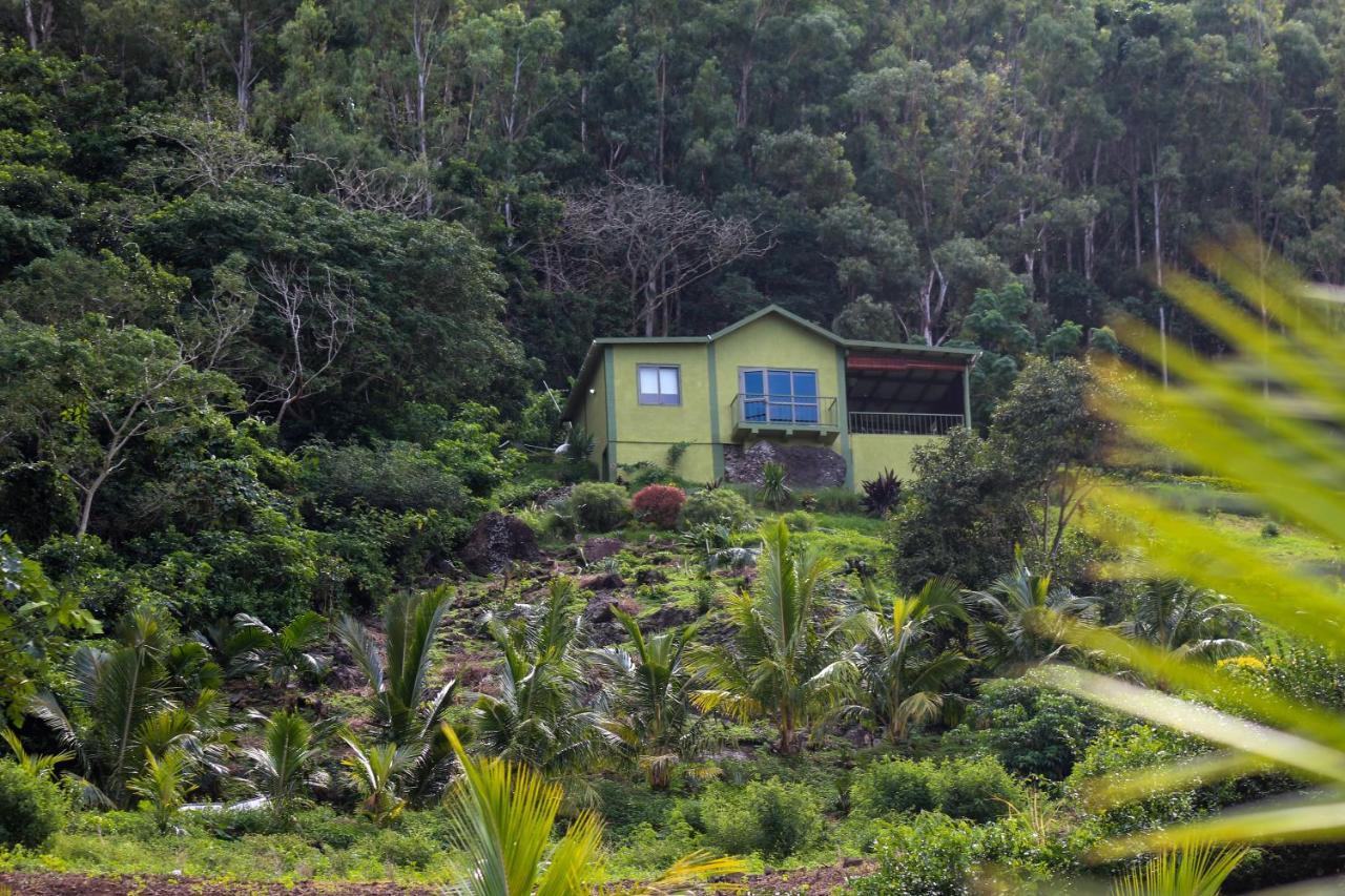 The Green Shack Quatre Soeurs Eksteriør billede